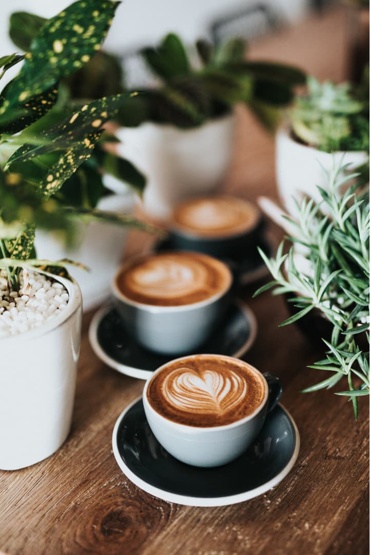 Three flat whites with latte art